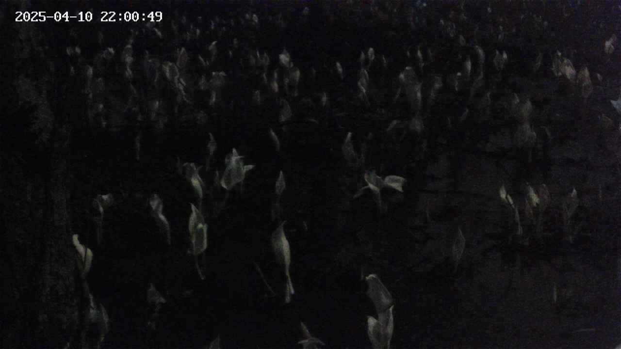 mizubasho4-20250410220050.jpg