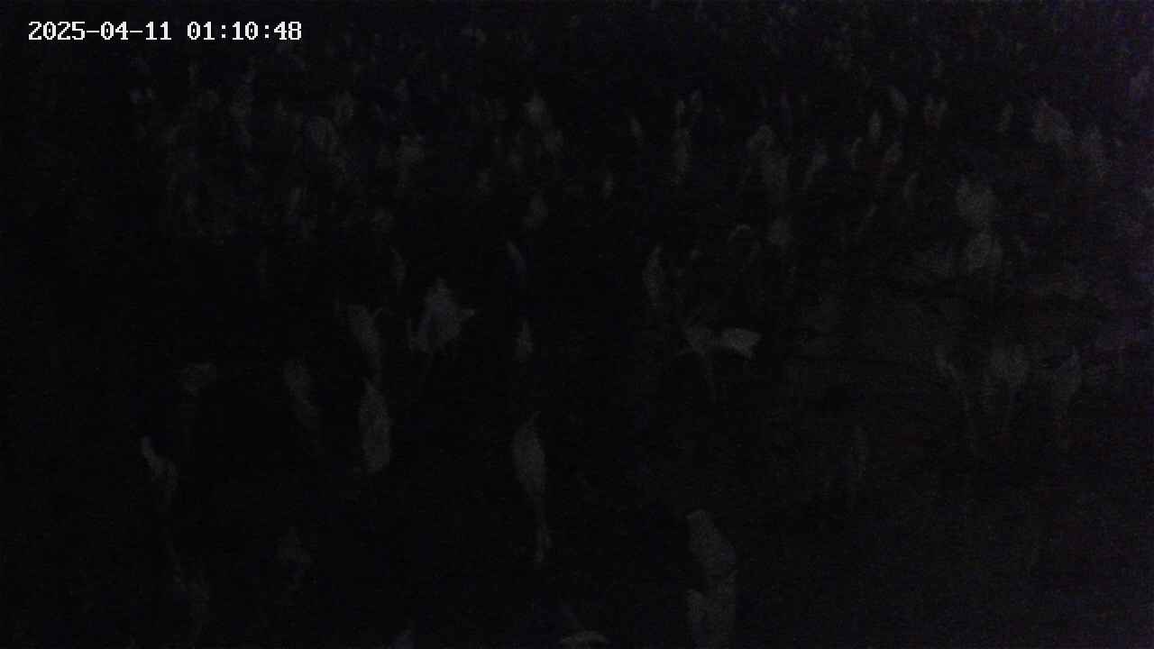 mizubasho4-20250411011049.jpg