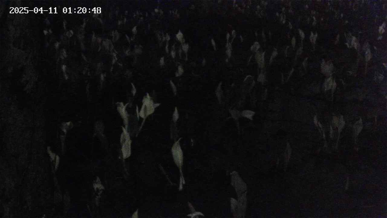 mizubasho4-20250411012049.jpg