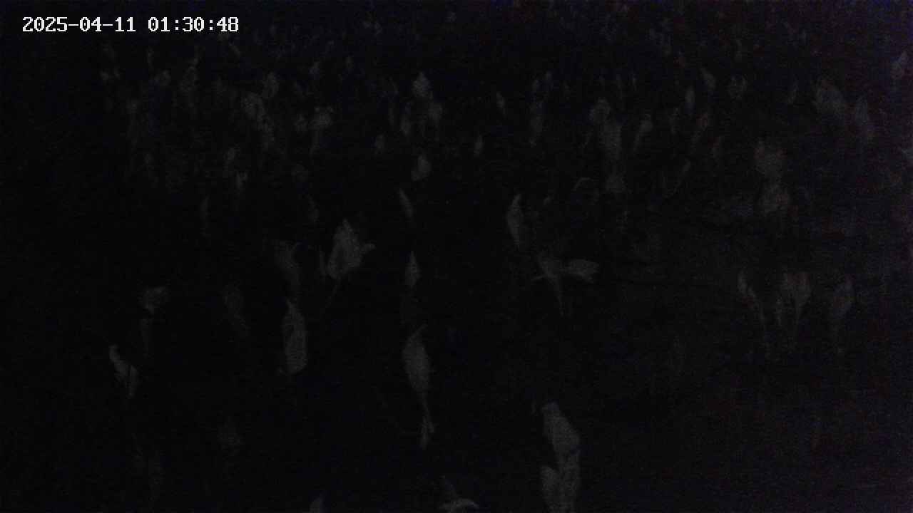 mizubasho4-20250411013049.jpg
