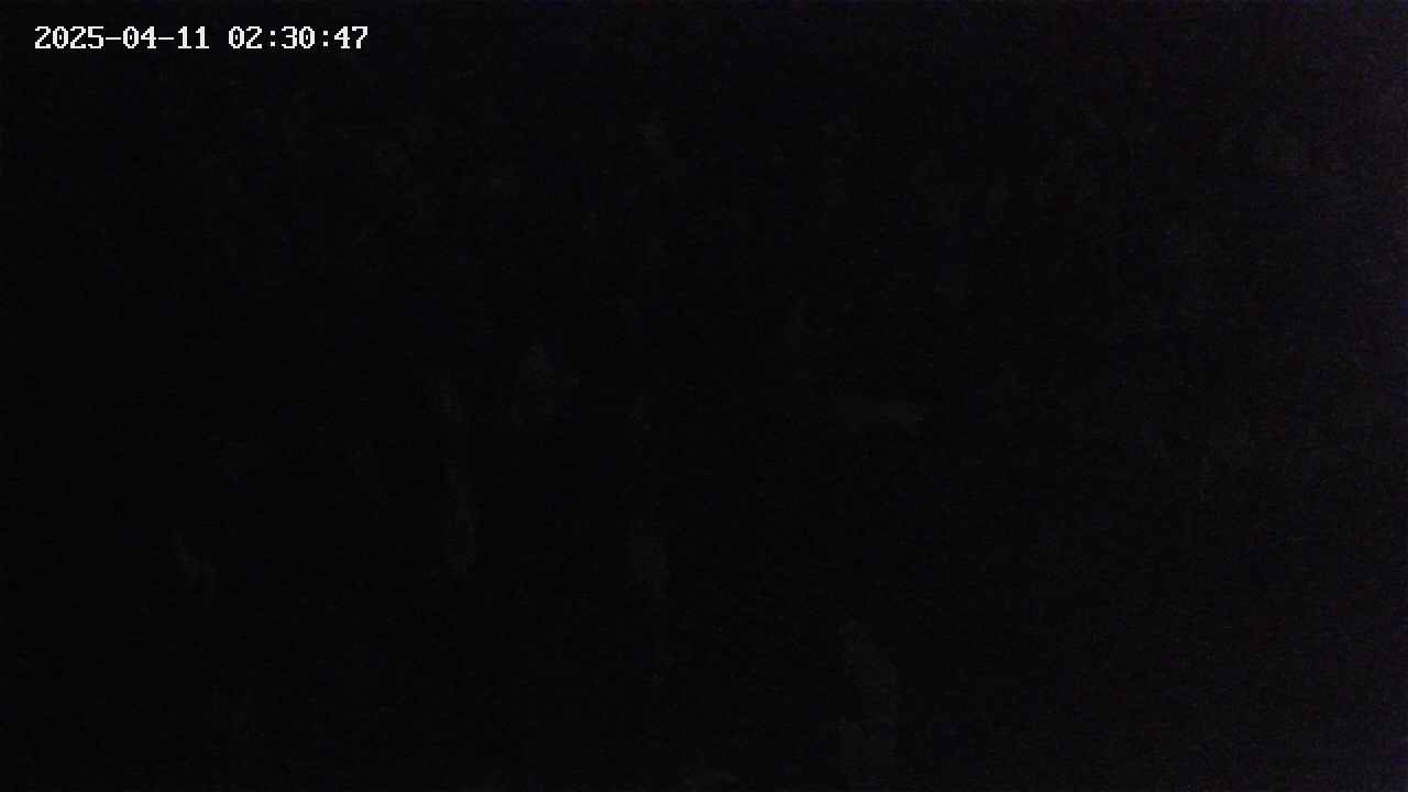 mizubasho4-20250411023048.jpg