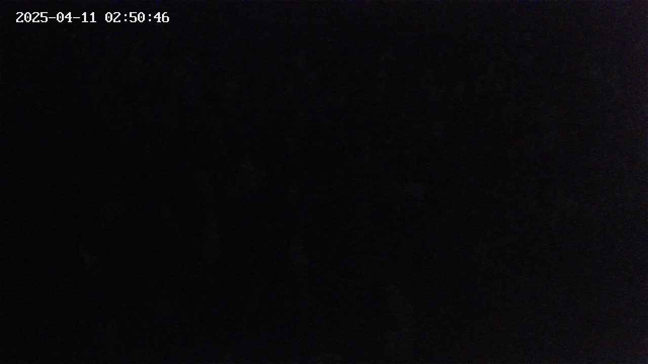 mizubasho4-20250411025047.jpg