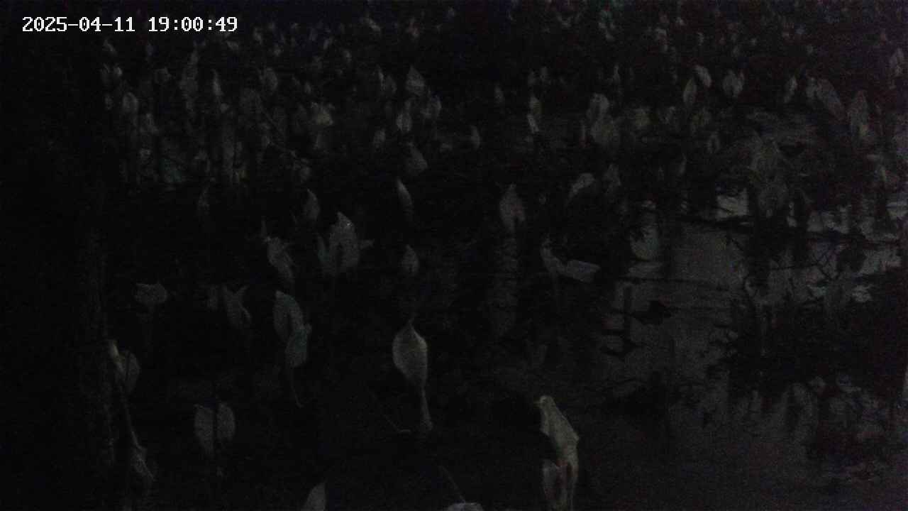 mizubasho4-20250411190050.jpg