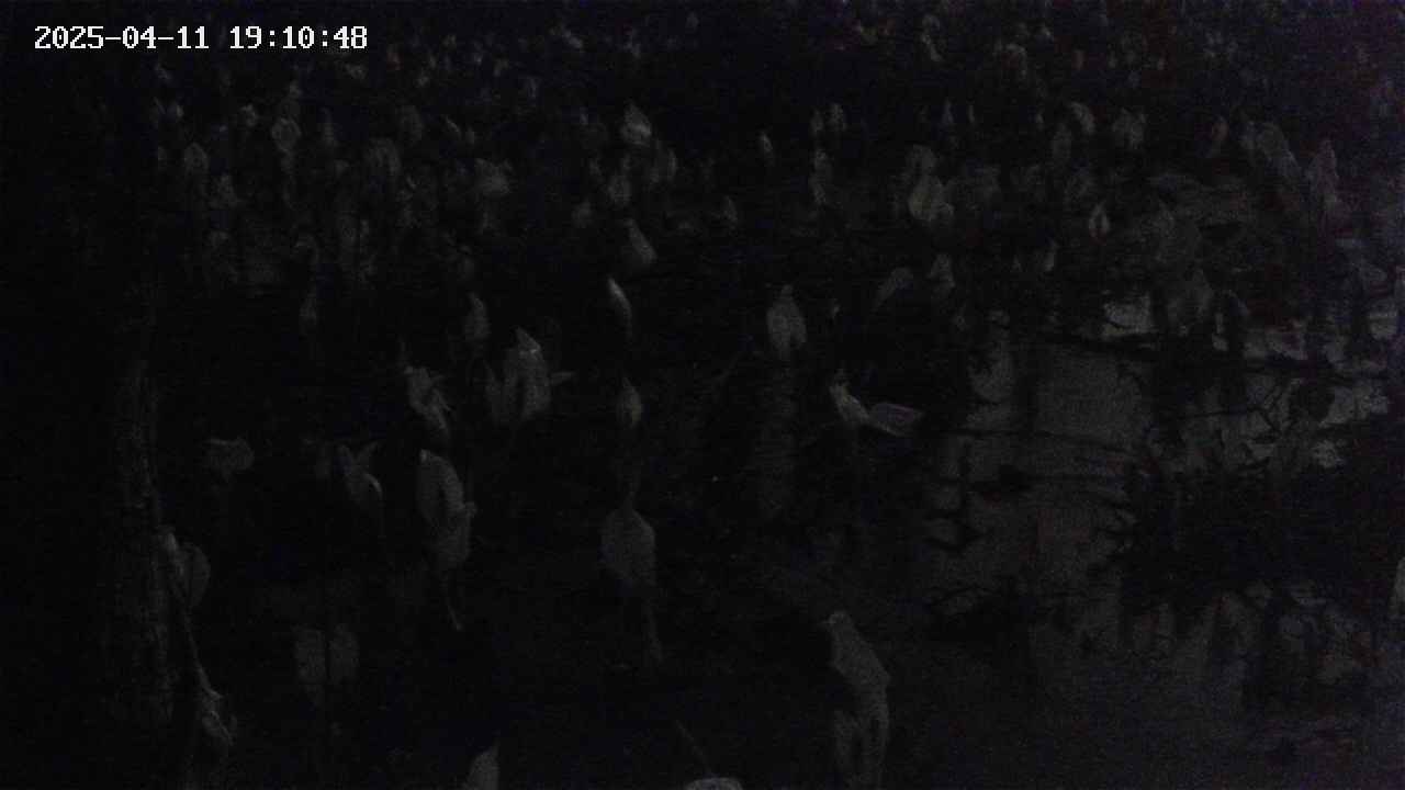 mizubasho4-20250411191049.jpg