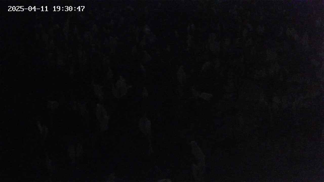 mizubasho4-20250411193048.jpg