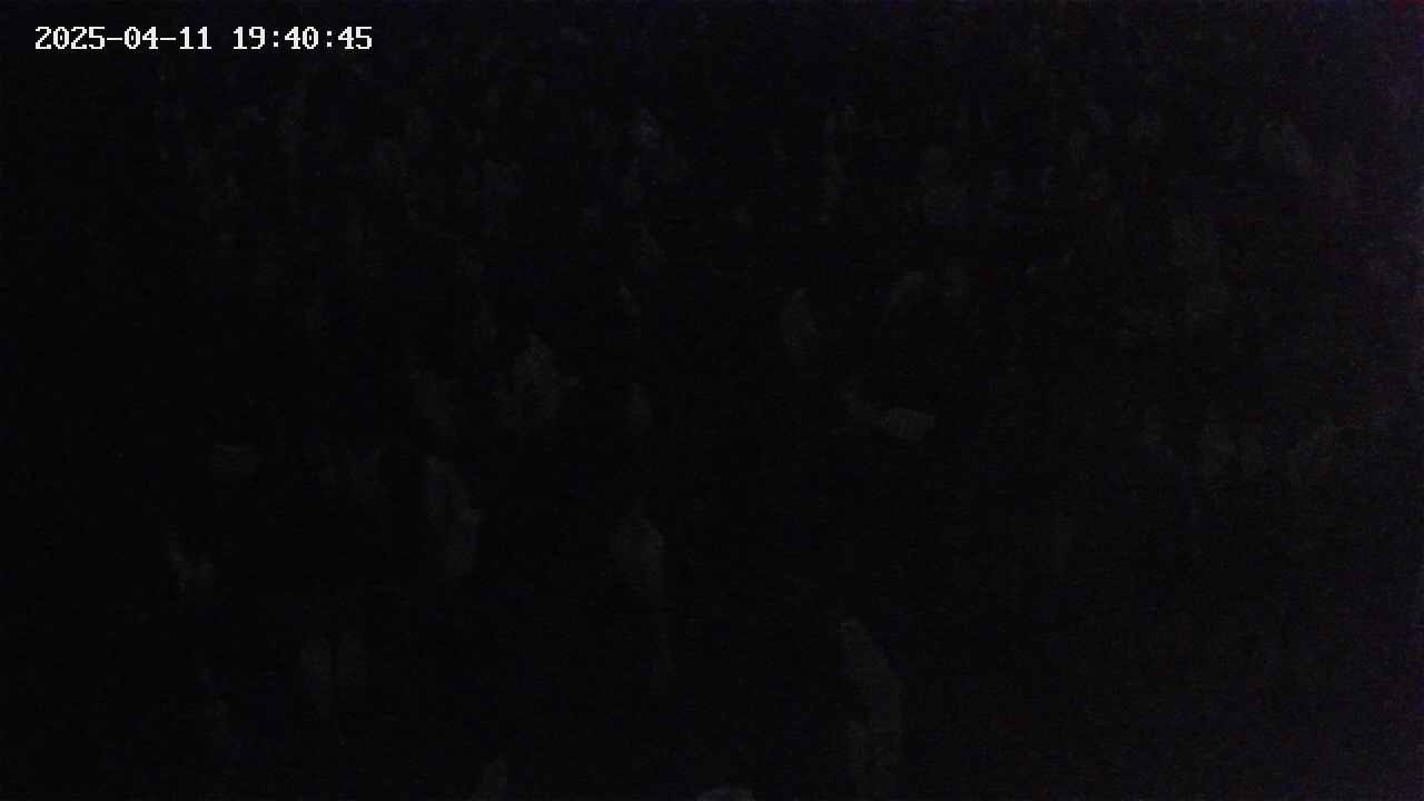 mizubasho4-20250411194046.jpg