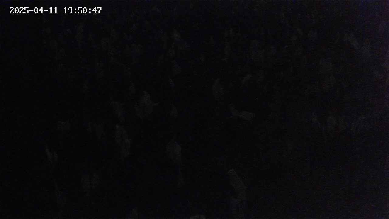 mizubasho4-20250411195048.jpg