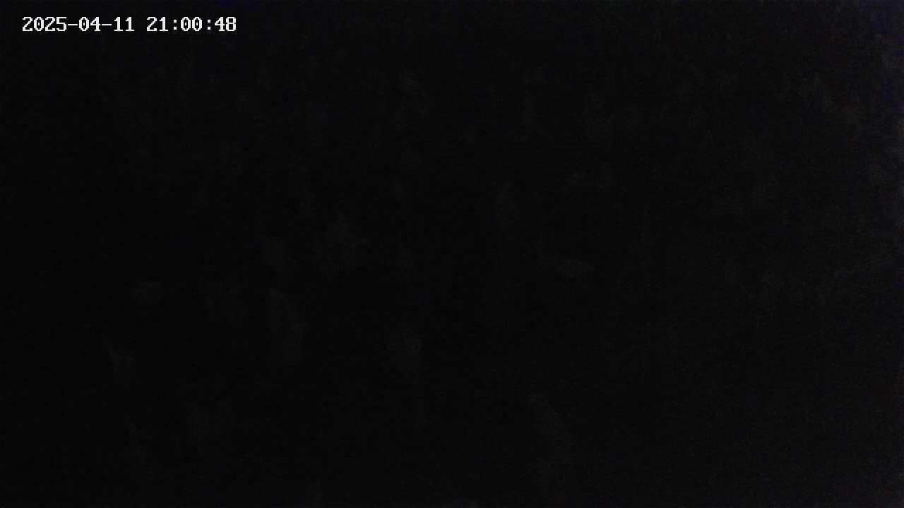 mizubasho4-20250411210049.jpg