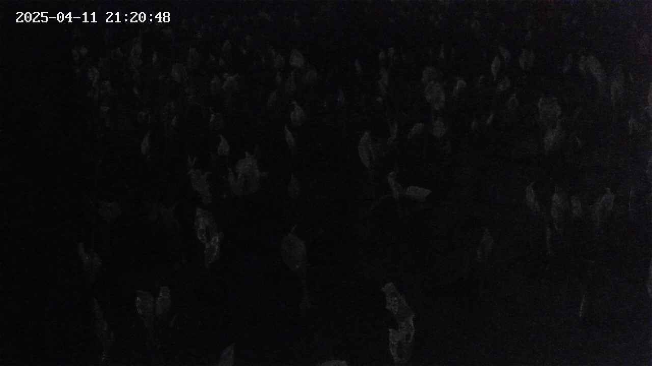 mizubasho4-20250411212049.jpg