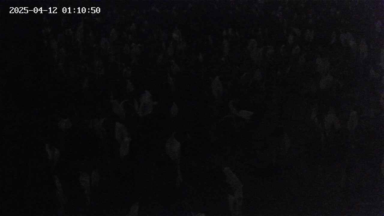 mizubasho4-20250412011051.jpg