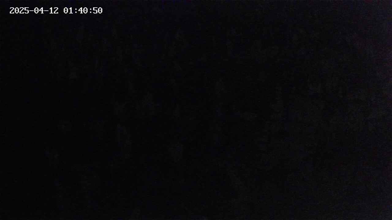 mizubasho4-20250412014051.jpg
