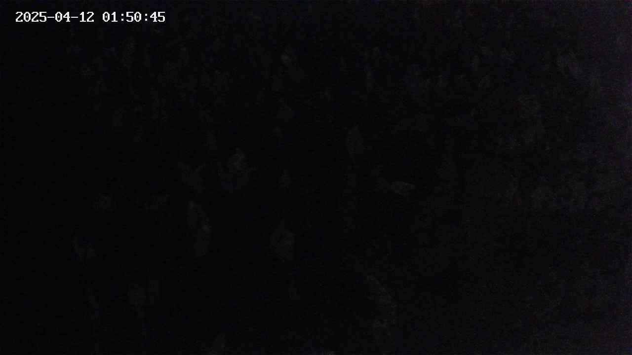 mizubasho4-20250412015046.jpg