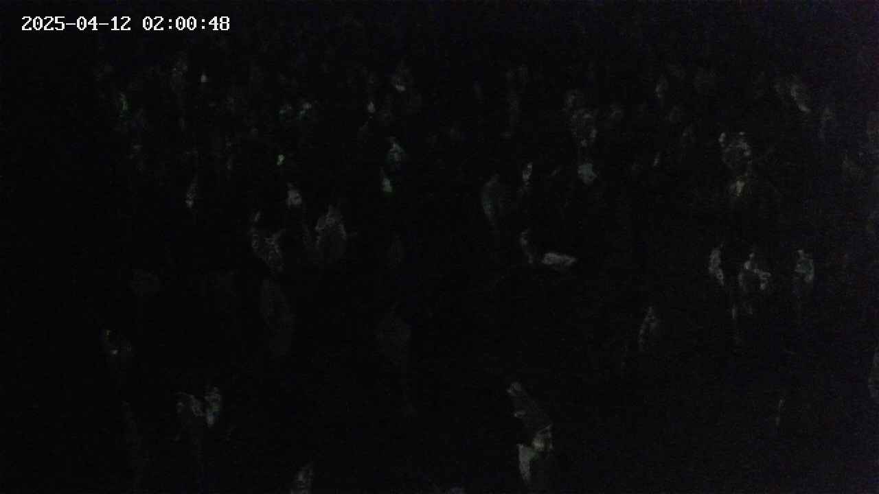 mizubasho4-20250412020049.jpg