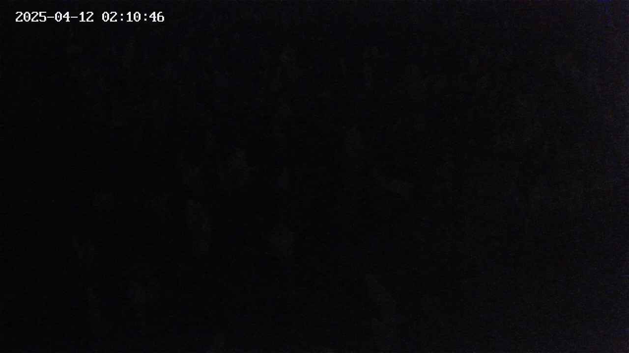 mizubasho4-20250412021047.jpg