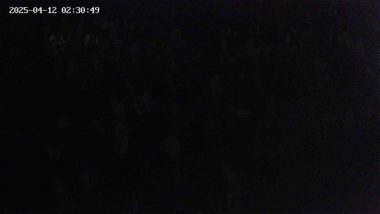 mizubasho4-20250412023050.jpg
