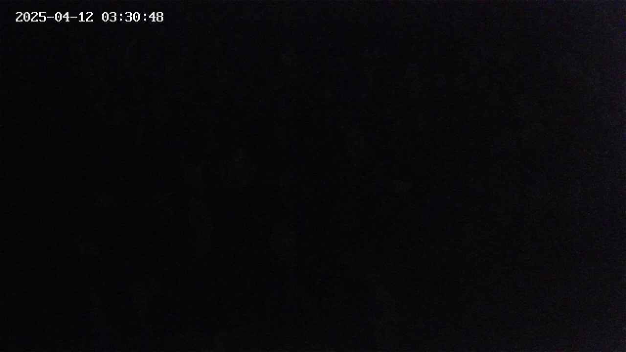 mizubasho4-20250412033049.jpg