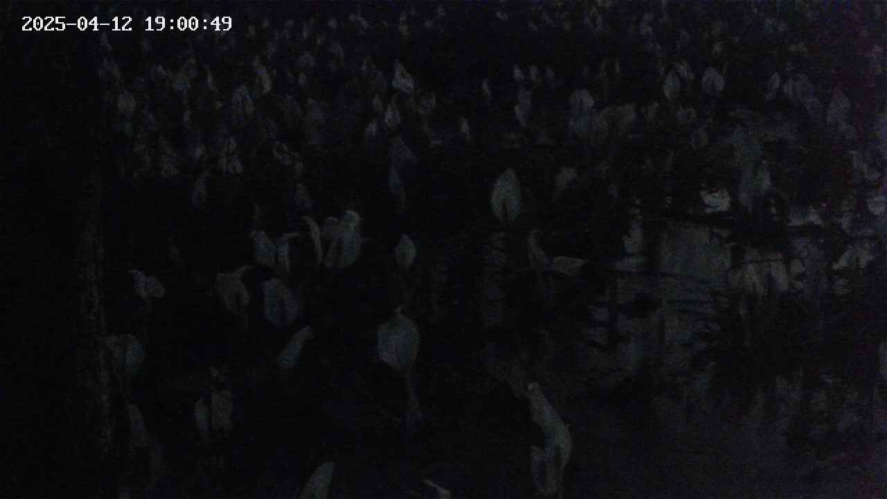 mizubasho4-20250412190050.jpg