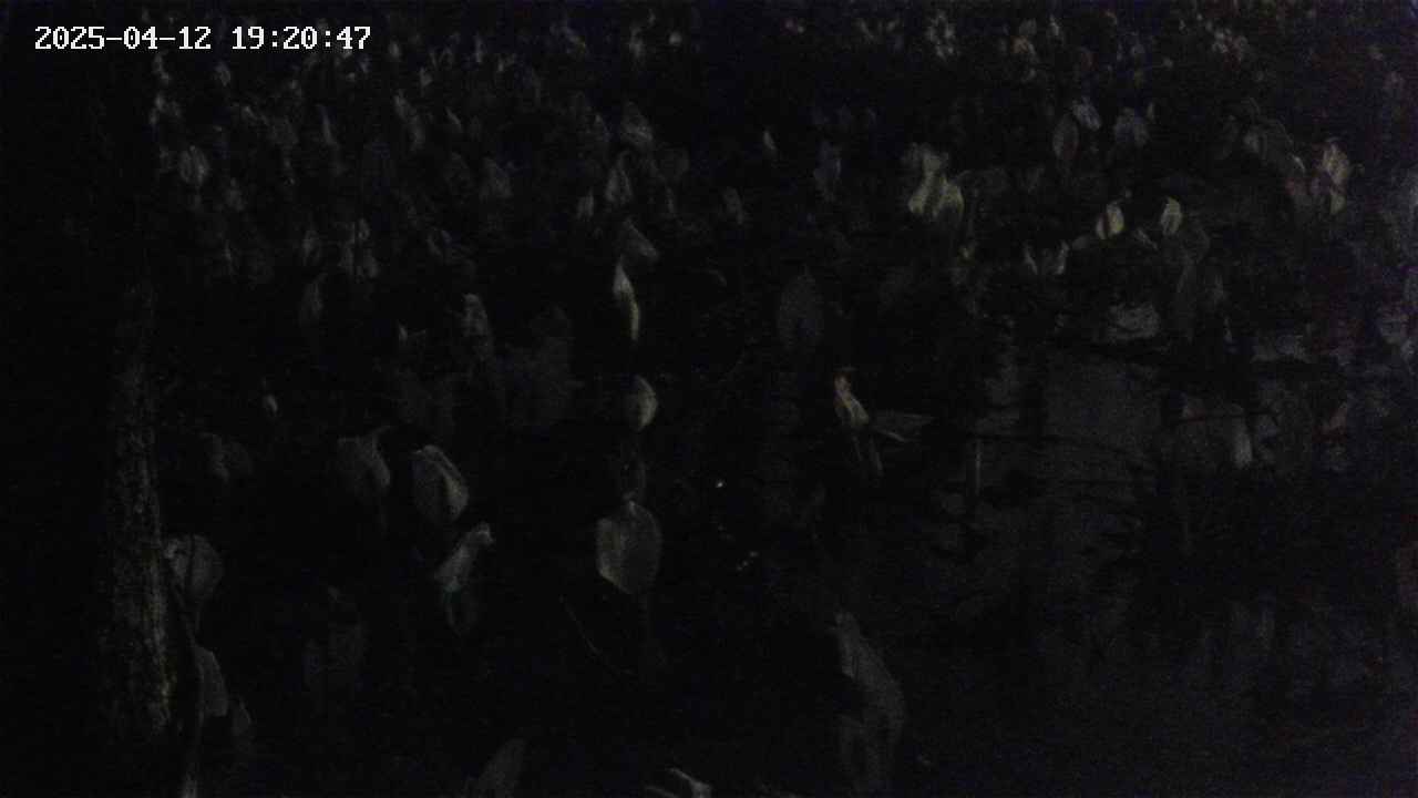 mizubasho4-20250412192049.jpg
