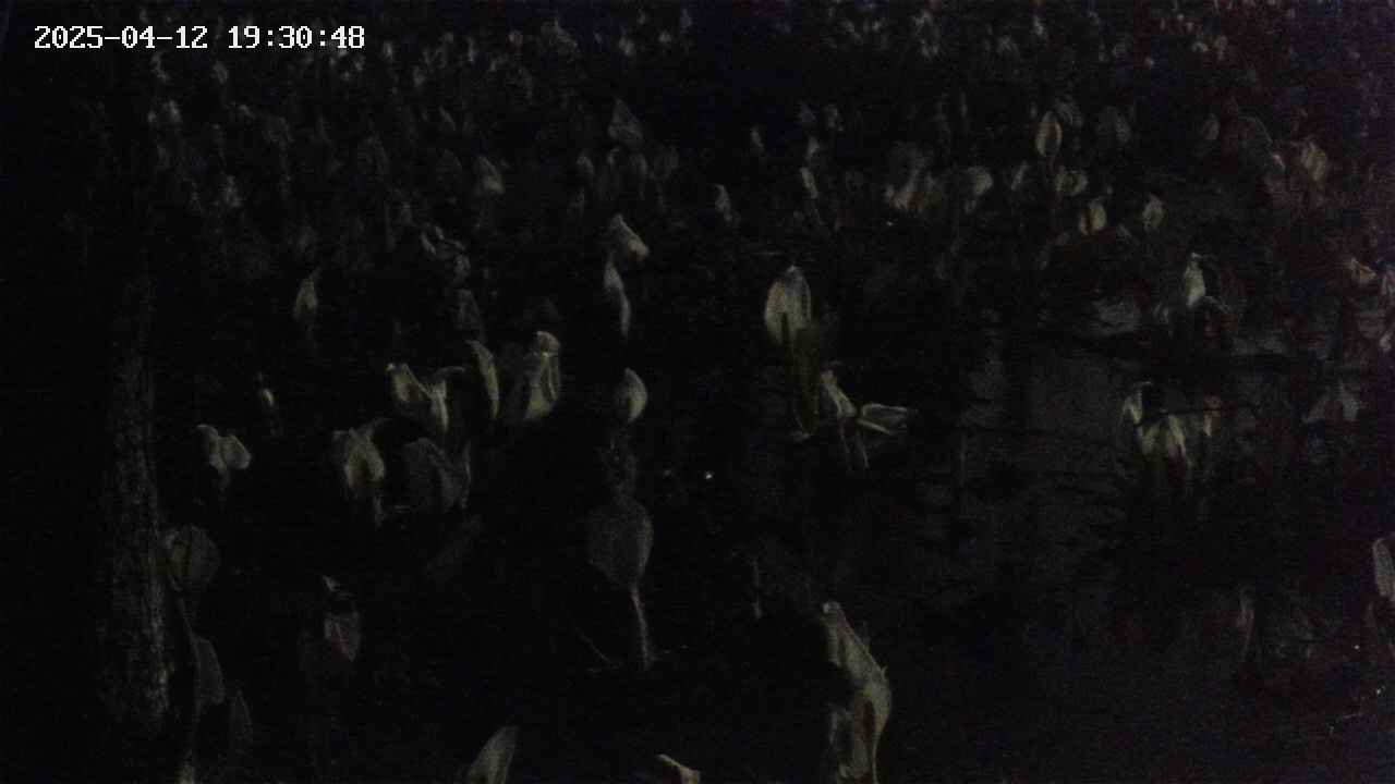 mizubasho4-20250412193049.jpg