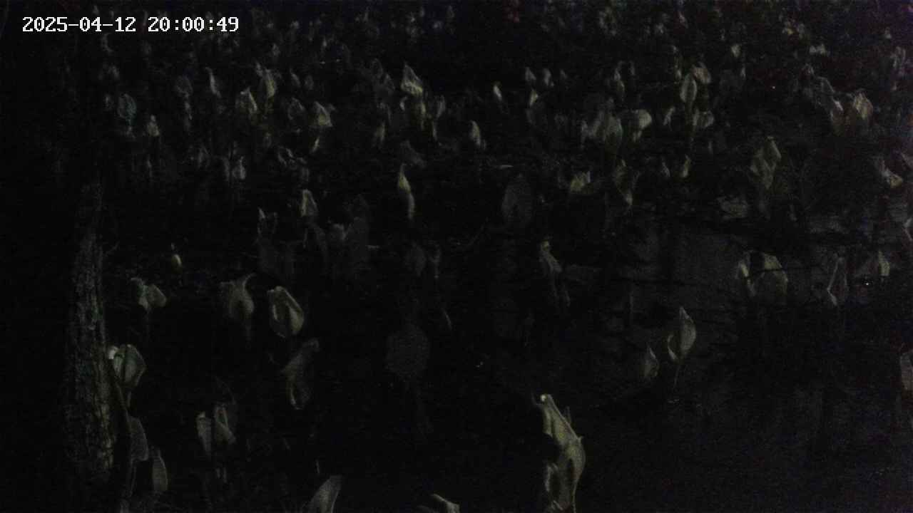 mizubasho4-20250412200050.jpg