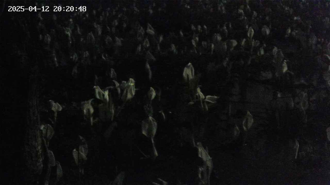 mizubasho4-20250412202050.jpg