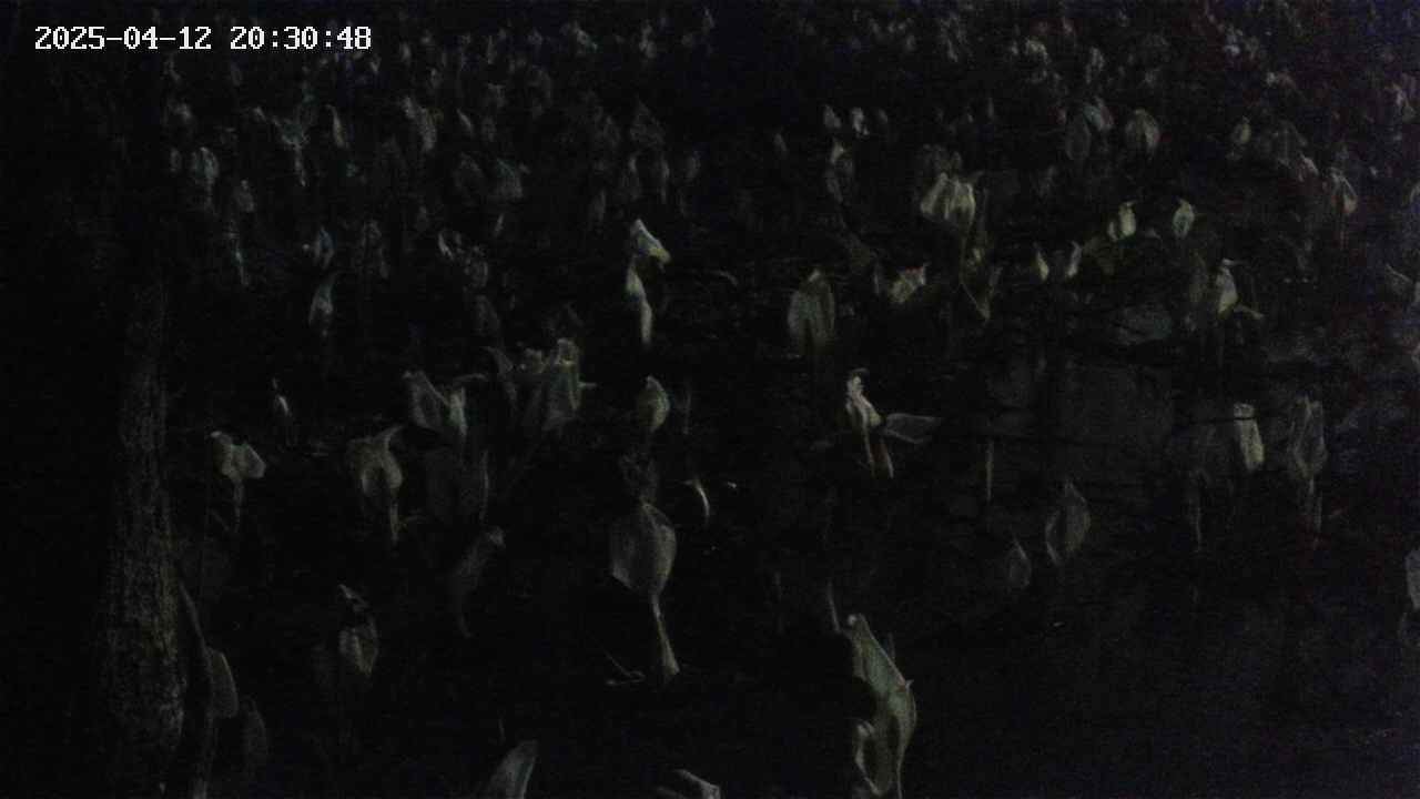 mizubasho4-20250412203049.jpg