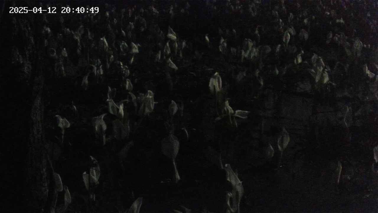 mizubasho4-20250412204050.jpg