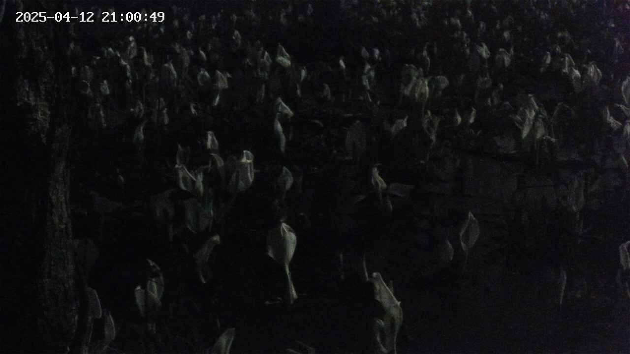 mizubasho4-20250412210050.jpg