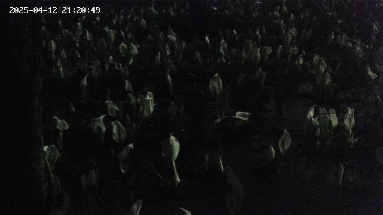 mizubasho4-20250412212050.jpg