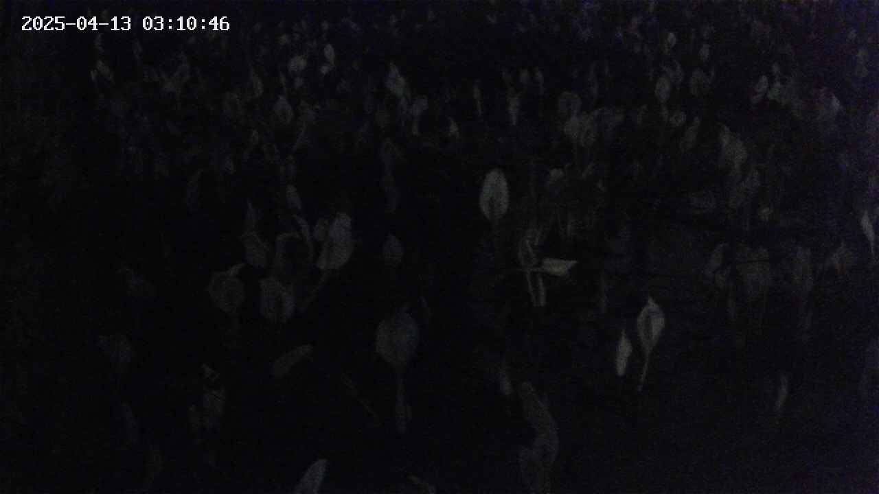 mizubasho4-20250413031047.jpg