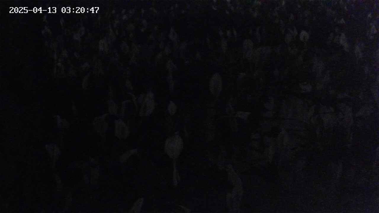 mizubasho4-20250413032048.jpg