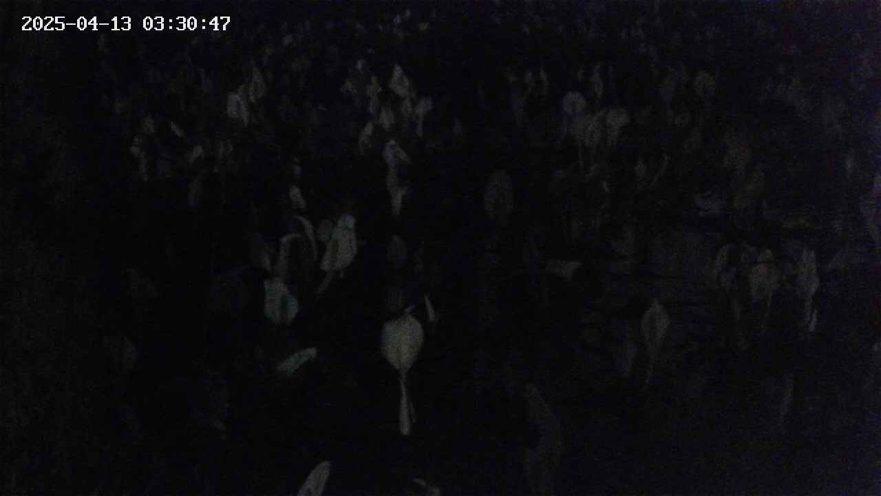 mizubasho4-20250413033048.jpg