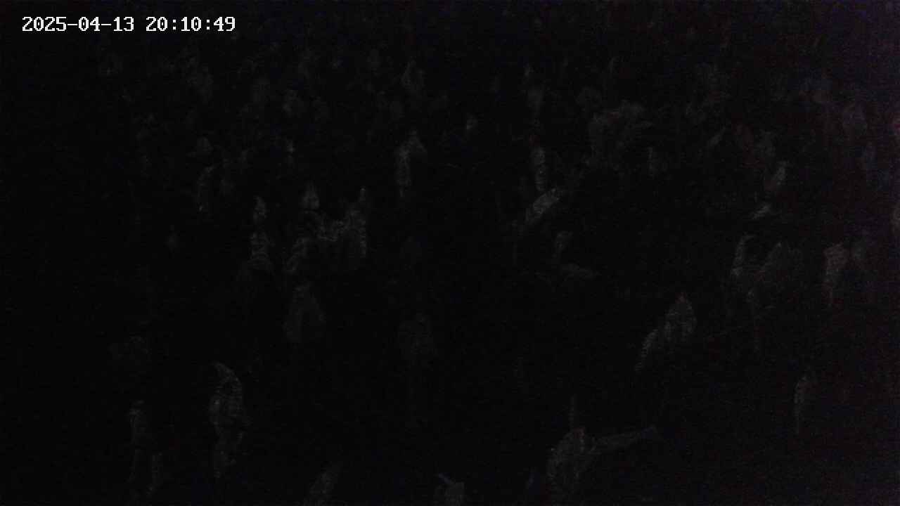 mizubasho4-20250413201051.jpg