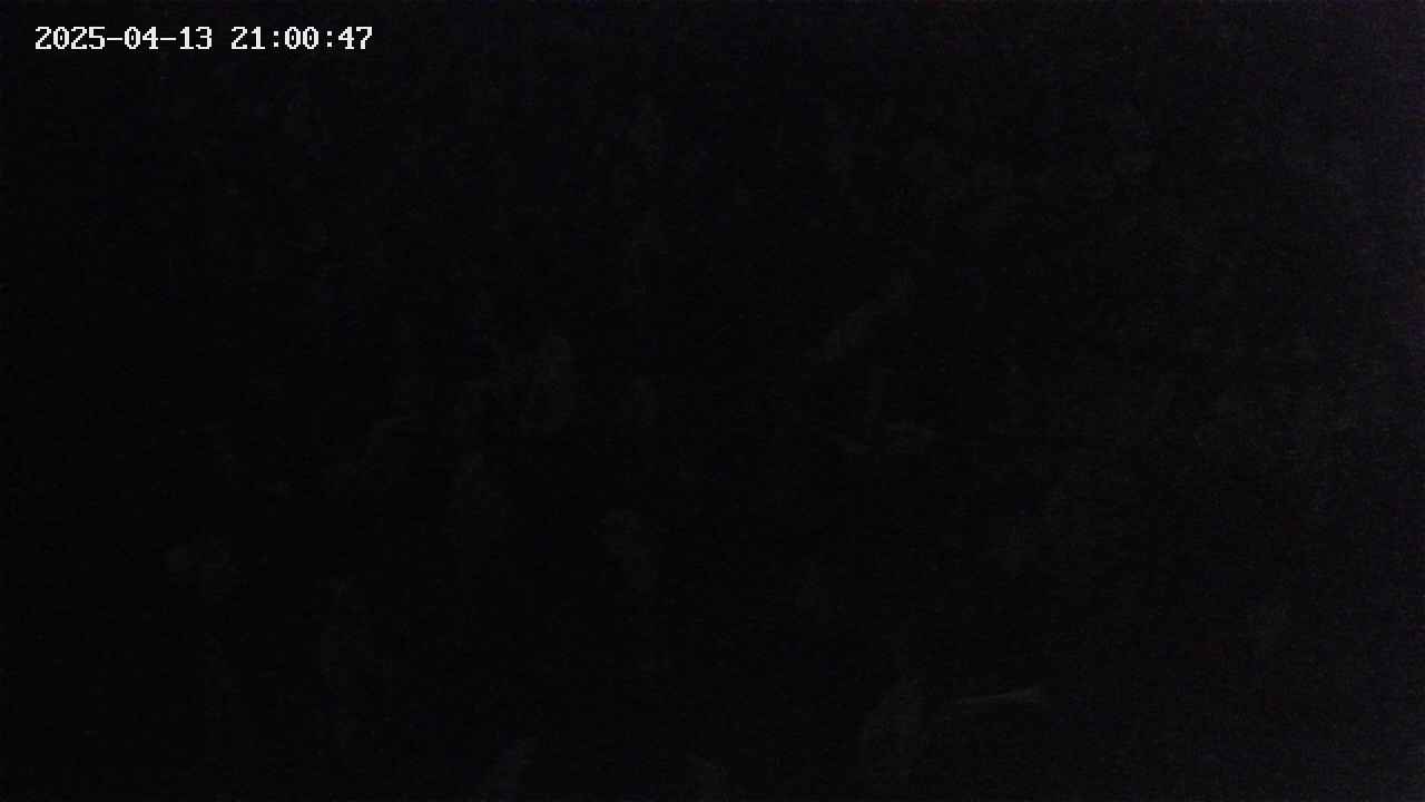 mizubasho4-20250413210049.jpg