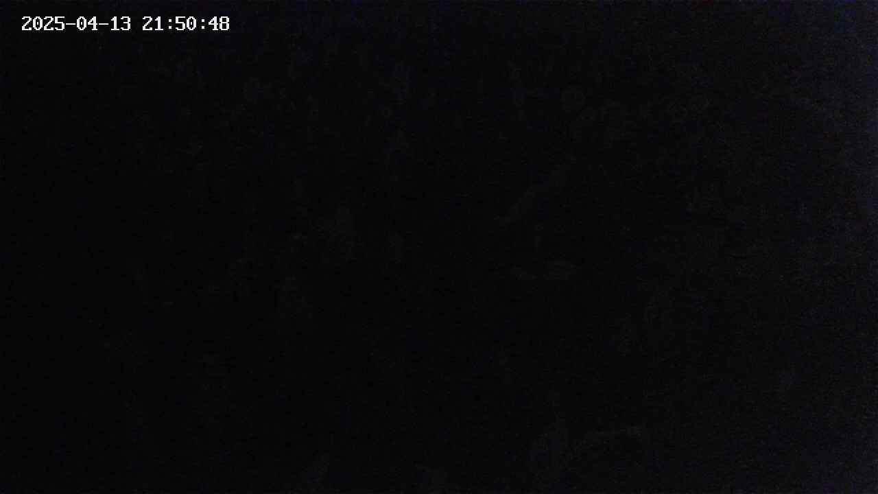 mizubasho4-20250413215049.jpg