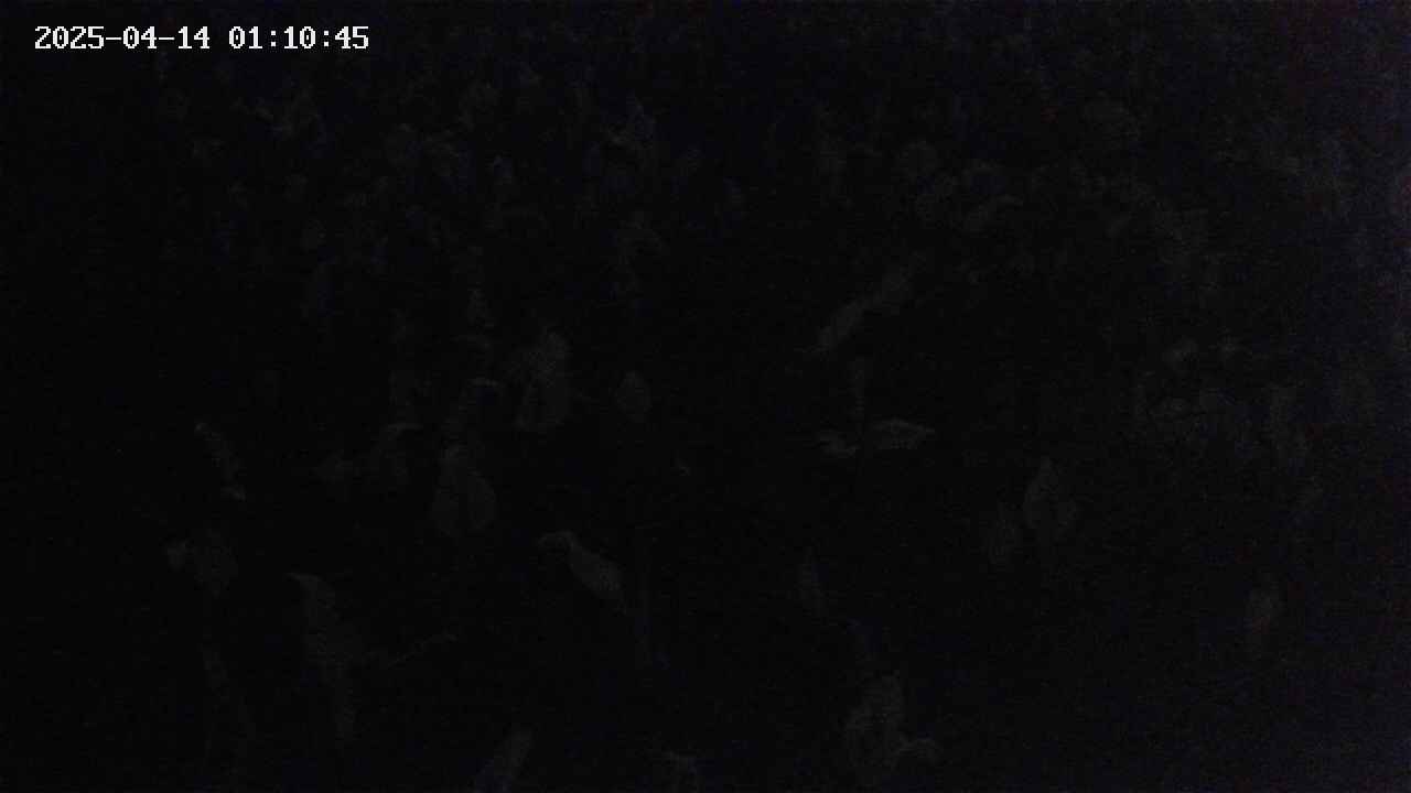 mizubasho4-20250414011047.jpg