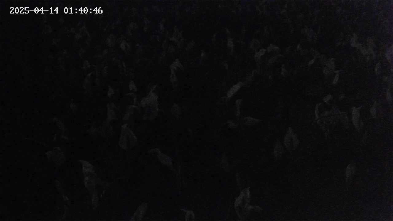 mizubasho4-20250414014048.jpg