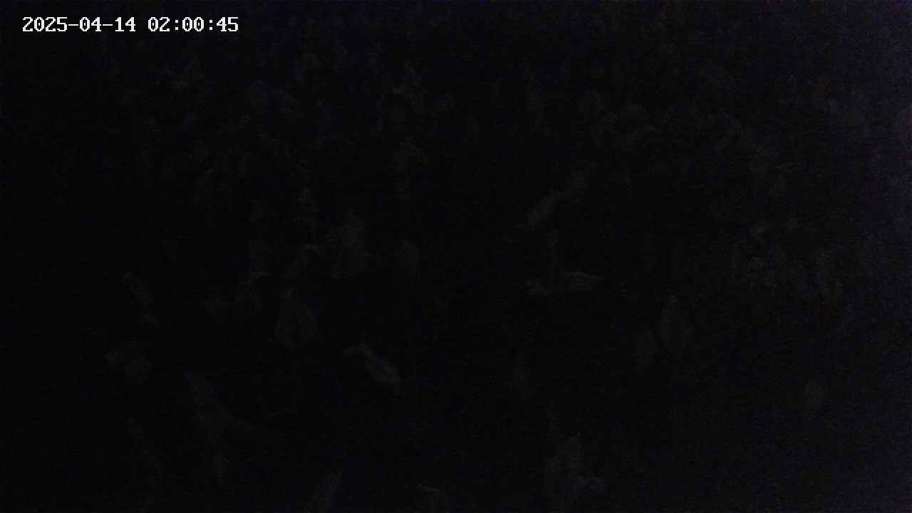 mizubasho4-20250414020047.jpg