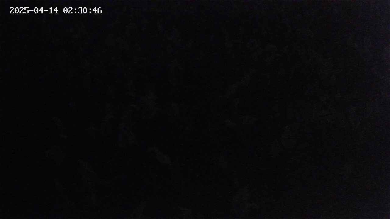 mizubasho4-20250414023047.jpg
