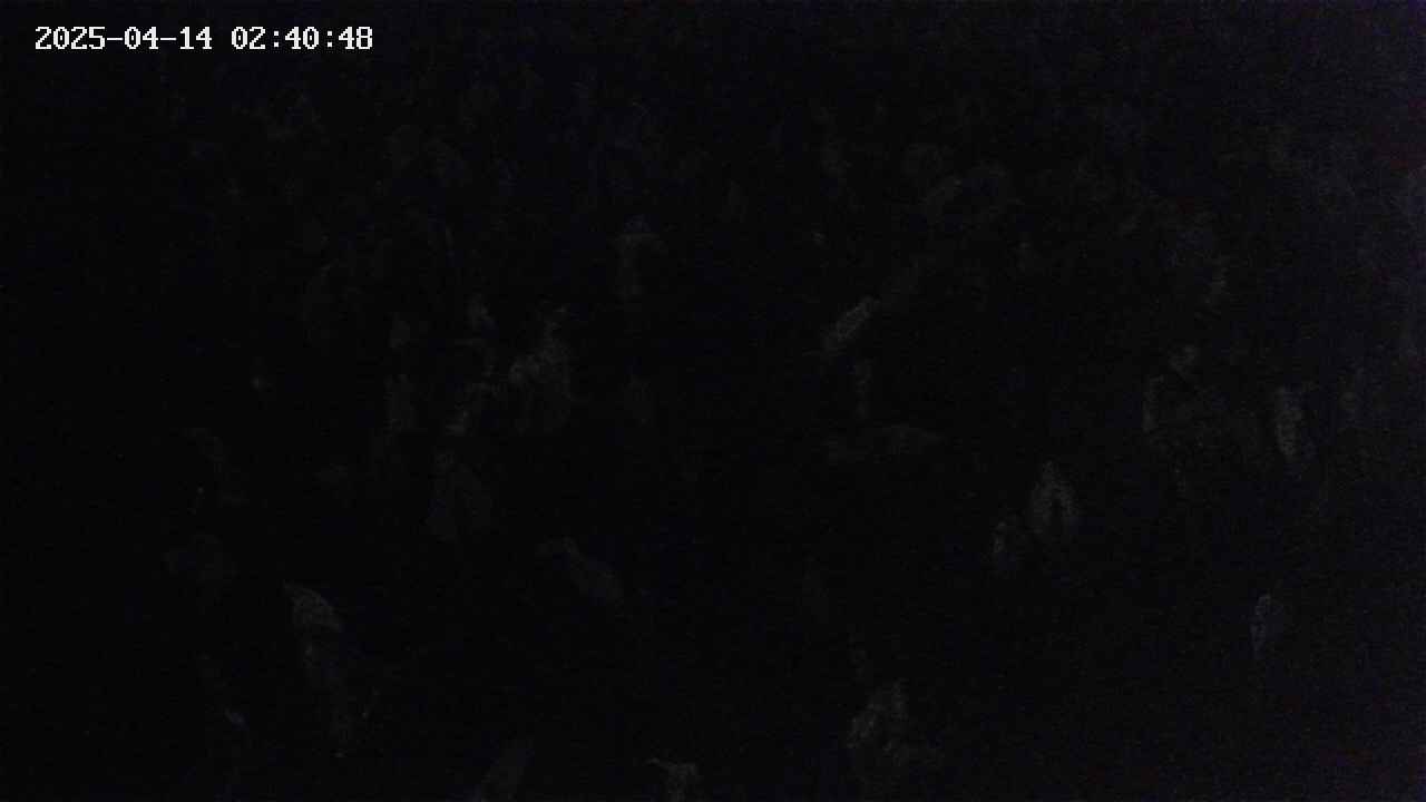 mizubasho4-20250414024049.jpg