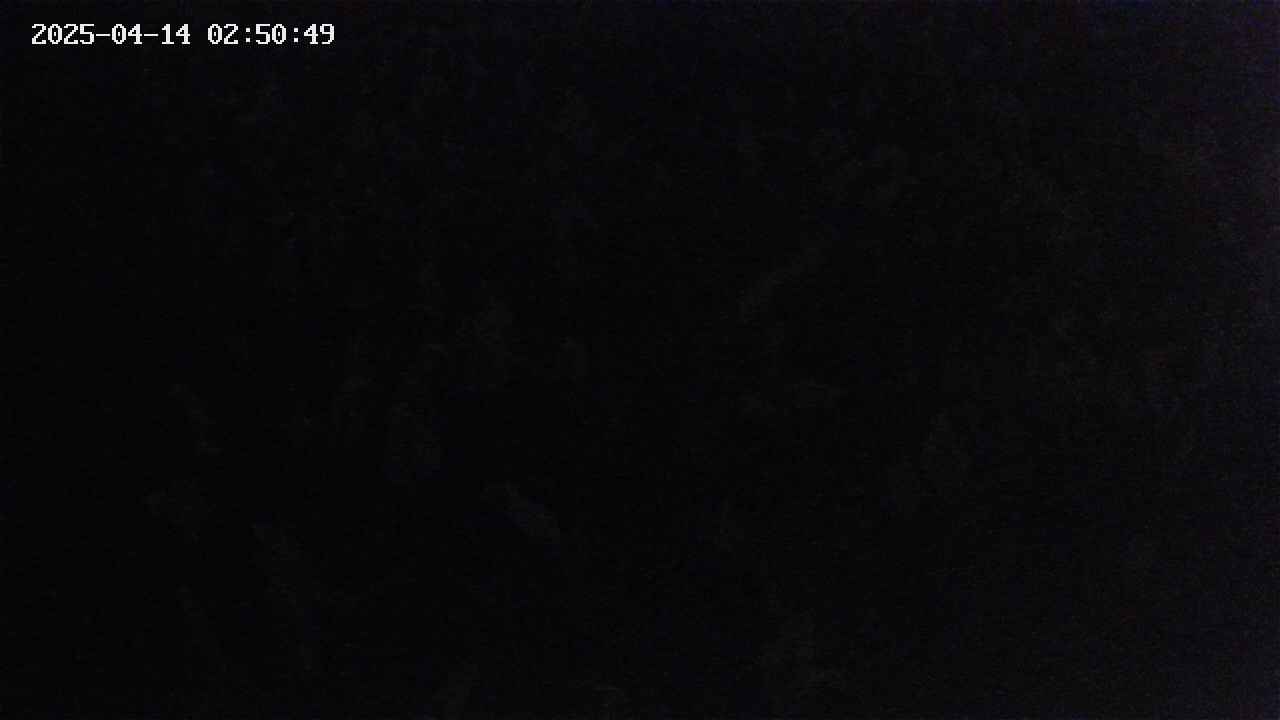 mizubasho4-20250414025050.jpg