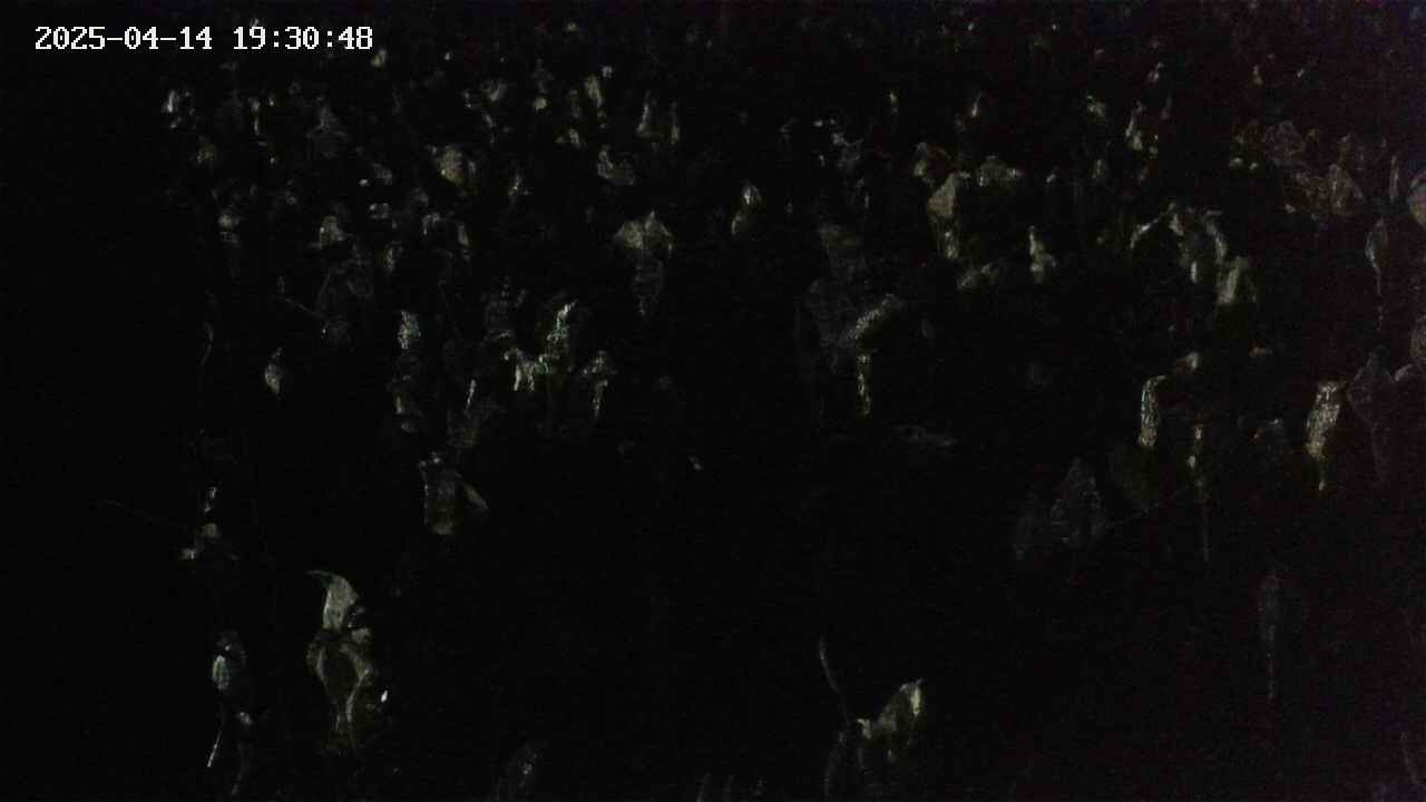 mizubasho4-20250414193049.jpg