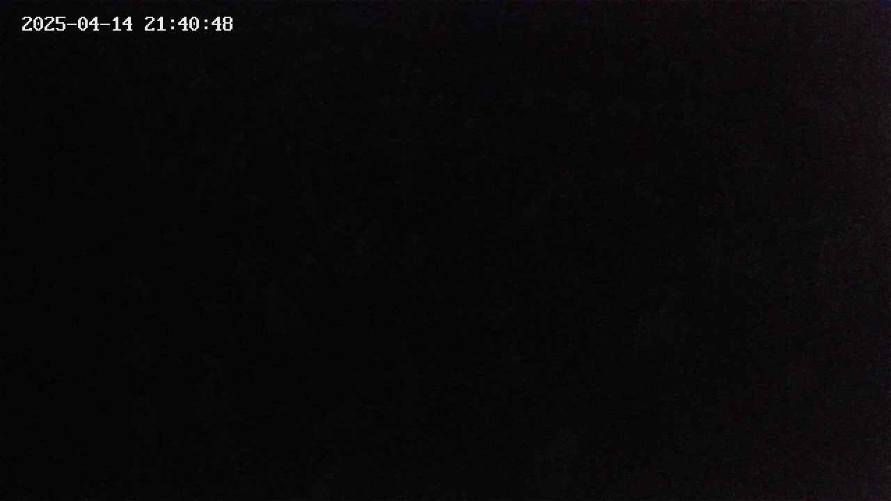 mizubasho4-20250414214049.jpg