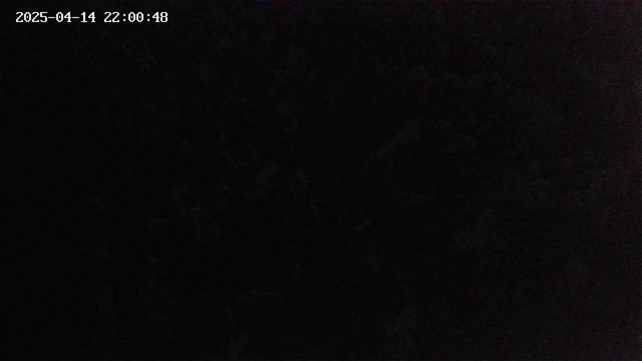mizubasho4-20250414220049.jpg