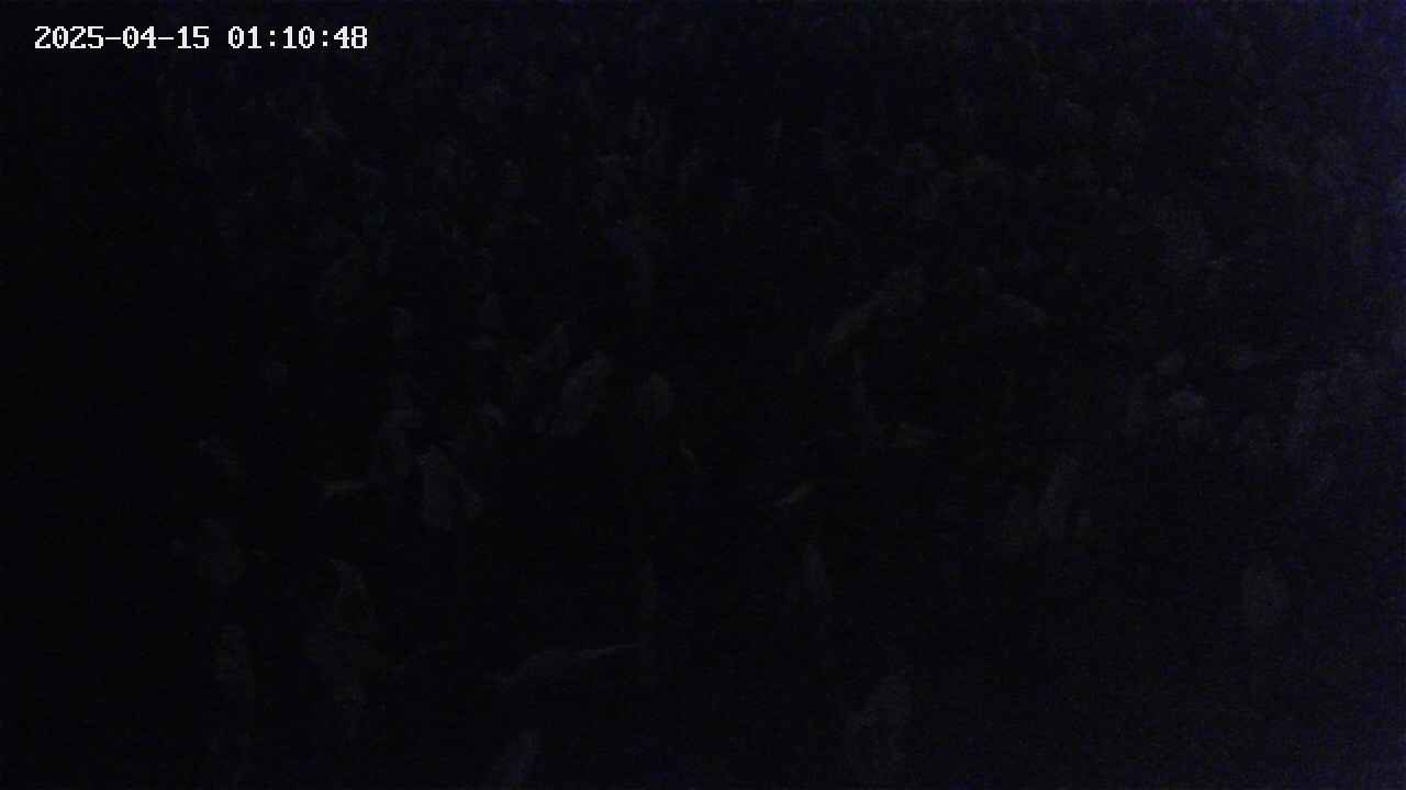 mizubasho4-20250415011049.jpg