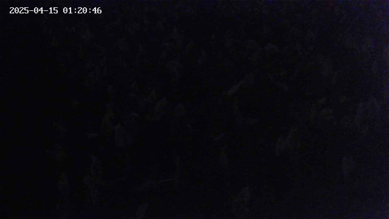 mizubasho4-20250415012047.jpg