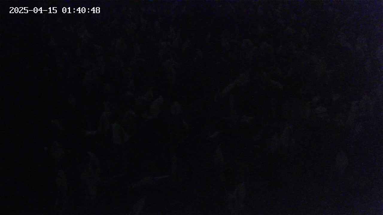 mizubasho4-20250415014049.jpg
