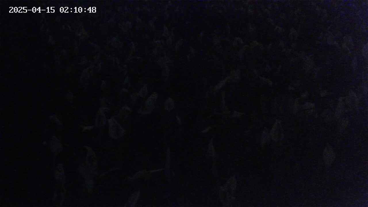 mizubasho4-20250415021049.jpg
