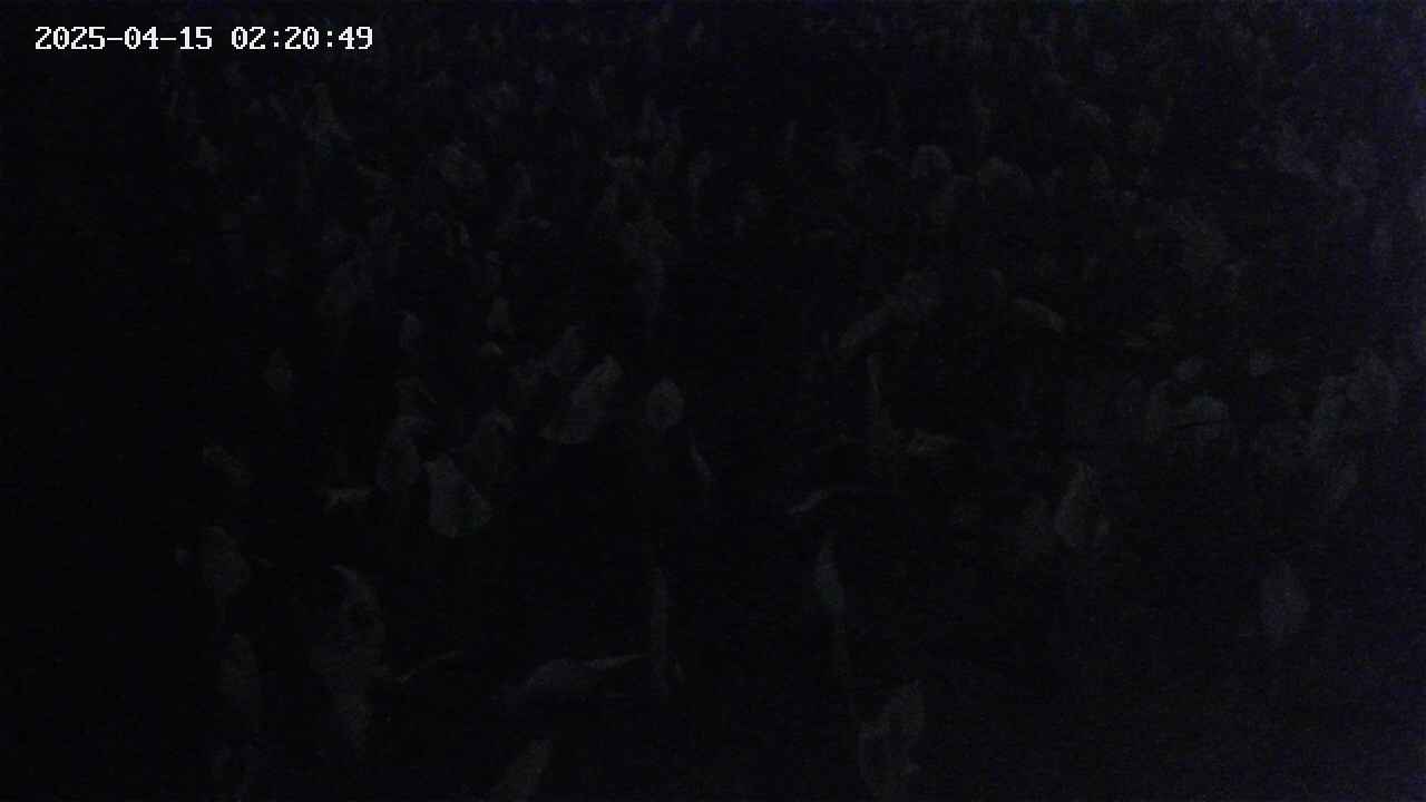 mizubasho4-20250415022050.jpg