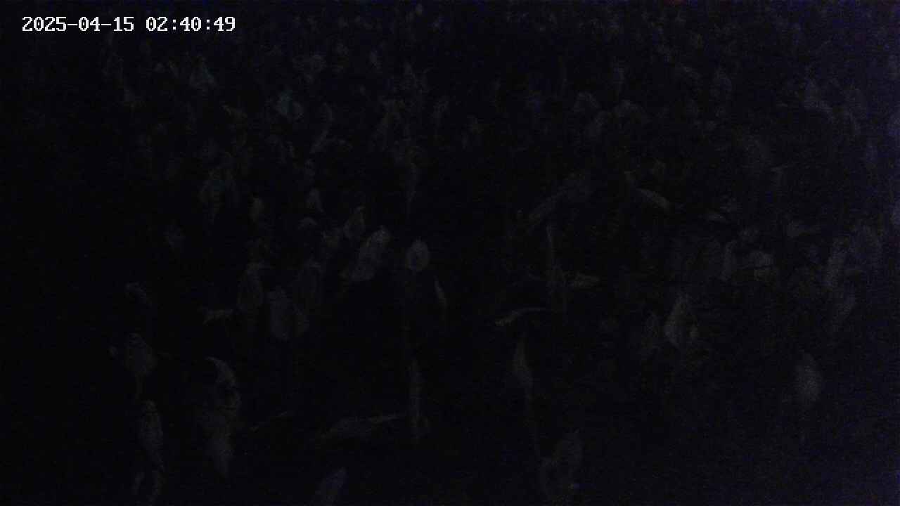 mizubasho4-20250415024050.jpg